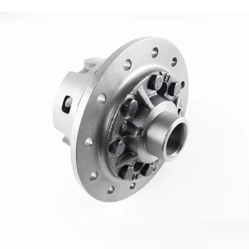 Individuāls diferenciāļa korpusa automašīnas aizmugurējā diferenciāļa mehānisms