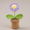 Purple Daisy