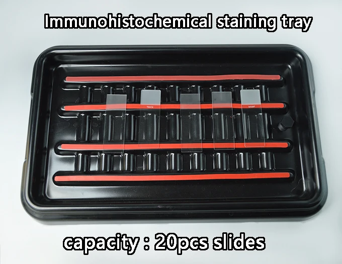 staining trays