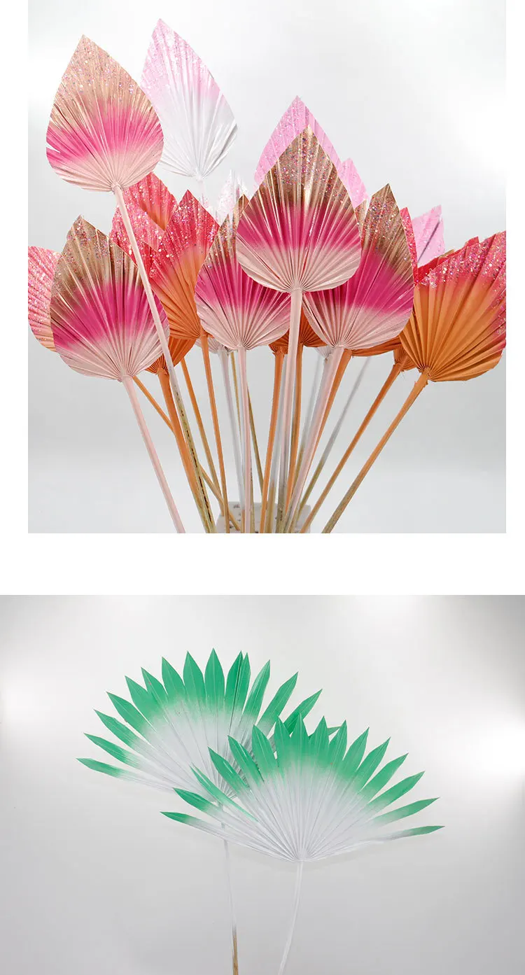 E325 Wholesale Decorative Dried Palm Leaves Natural Palm Leaves Buy