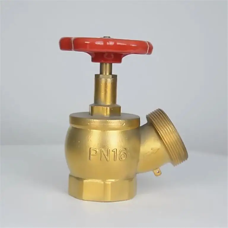 Angle Globe Hose Valve supplier
