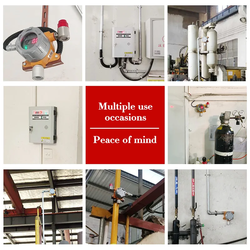 High Precision Digital H2S Sensor Gas Analyzer Alarm Hydrocarbon Eto Detector