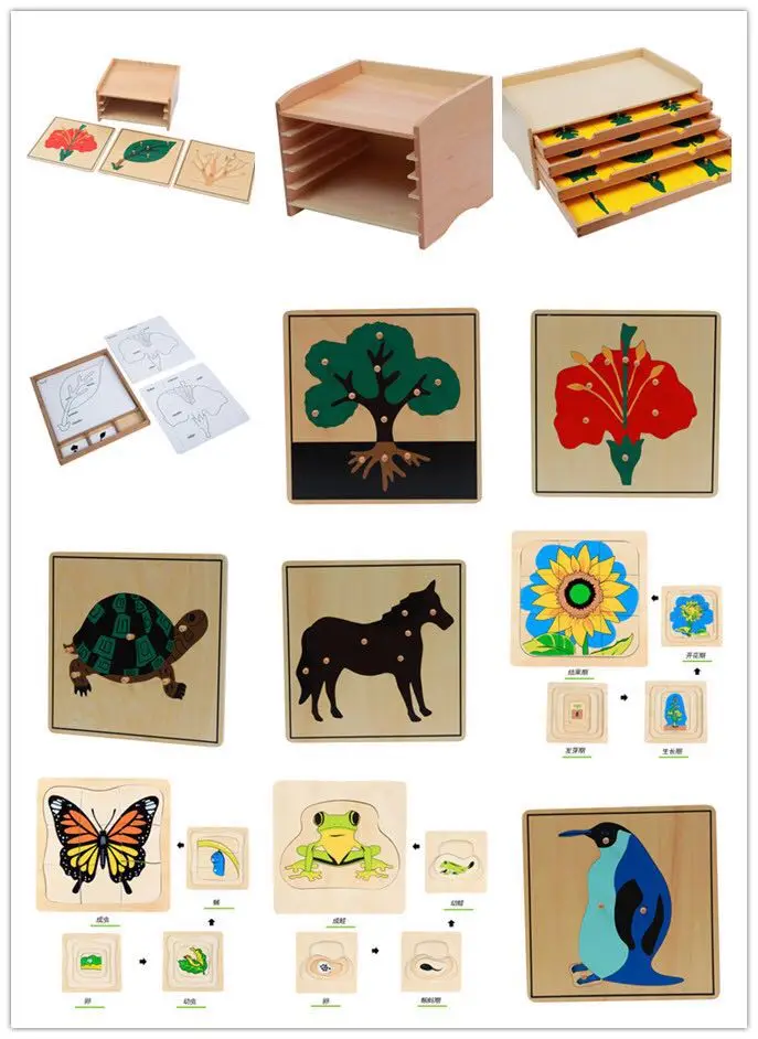 
 Школьная мебель, деревянные материалы Монтессори для детей, бельевая лошадь из Букового дерева  