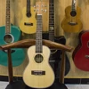 Ukelele de 23 pulgadas con tapa sólida de abeto + ecualizador