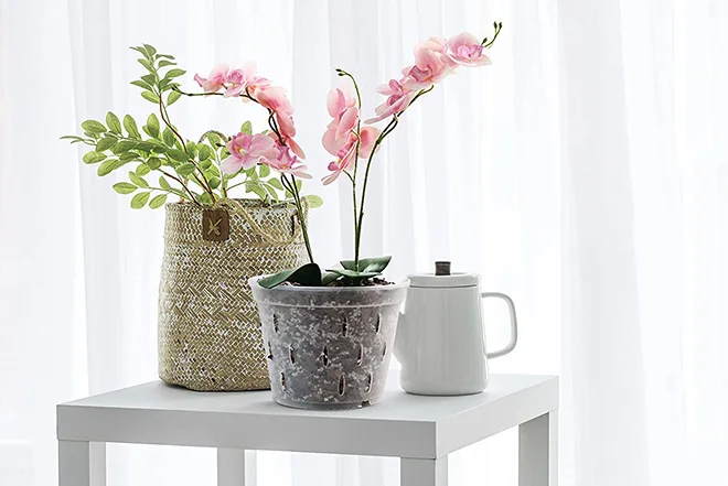 Orchideentöpfe Mit Löchern & Untertassen – 8 Stück, Transparent, 17,8 Cm, Aus Kunststoff