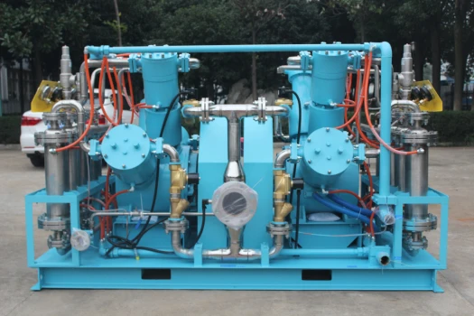 
High pressure High quality Oxygen Diaphragm compressor 