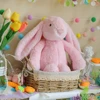 Pink bunny