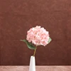 Rosa (sin jarrón)