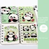 Lindo panda-precio único