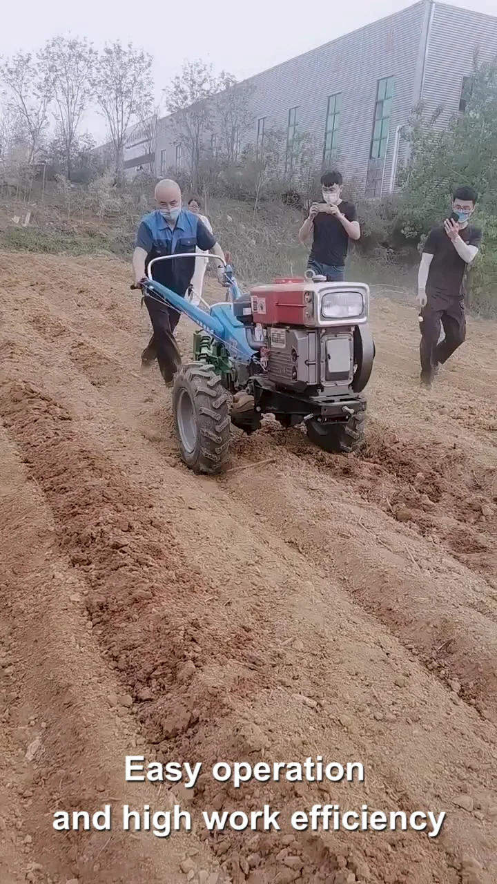 Morocco Motocultor Agriculture 15hp Single Farrow Plough Walking