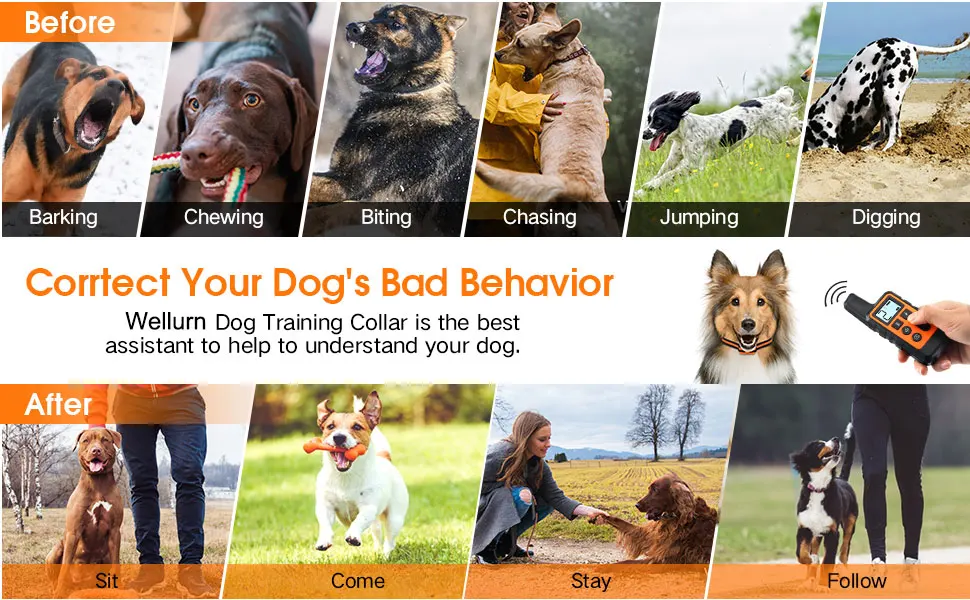 shock collar to stop biting