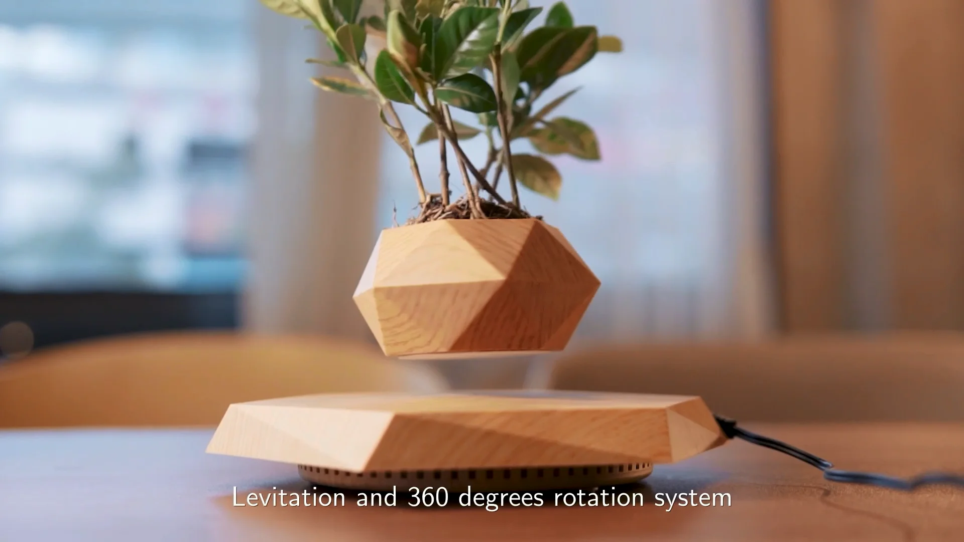 Levitating Plant Floating Plant Pot Fashionable And Creative