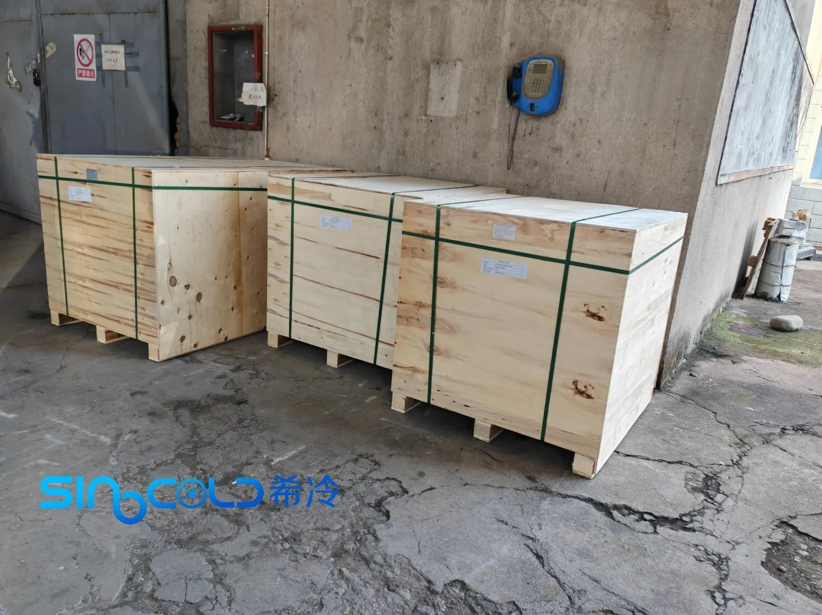 3HP All-in-one Unit SC-BYTCN30EL Side Embedded Inverter Monoblock Condensing Unit for 40 Cubic Meter Cold Room 0~8 CEL
