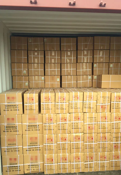 
 Положительный полюс отрицательный электрод батарея винтового типа клеммы  