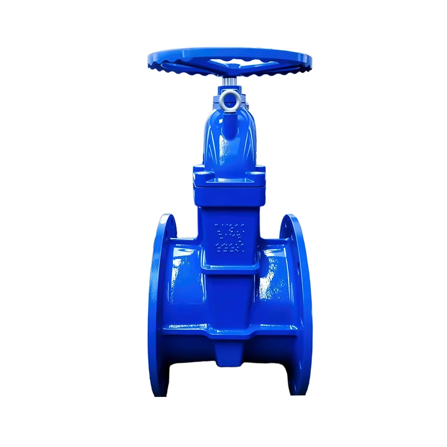 DIN Standard Manual Non-Rising Stem Resilient Seated Gate Valve Ductile Iron Body Flange Connection Low/Medium Temperature