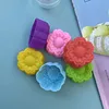 สีสุ่ม-5ซม. ดอกเบญจมาศเซียงหยาง