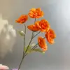 สีส้ม