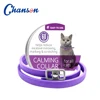 Purple Cat