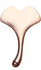 2338-Rose Gold