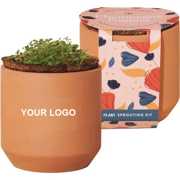 Deluxe Champagne Poppies Terracotta Grow Kit Clear For Garden Starter