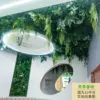 qingqing weeping willow
