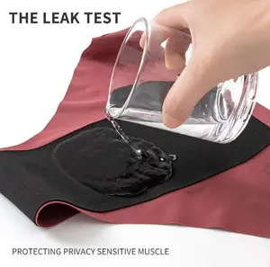 Wholesale Leak Proof Washable Menstrual Absorbent Panties Plus Size Mid Waist Women Adults