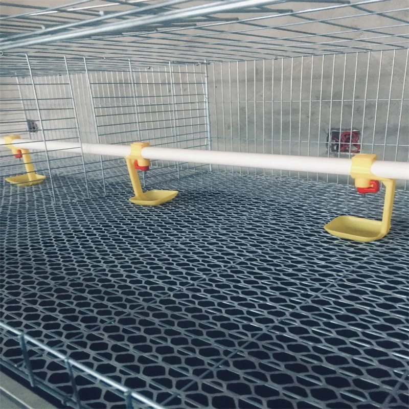 H Type Chicken Brooder Layer Cage Broiler 4 Layers Poultry Cages Day