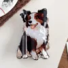 Collie de frontera marrón