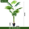 180CM/Sabal