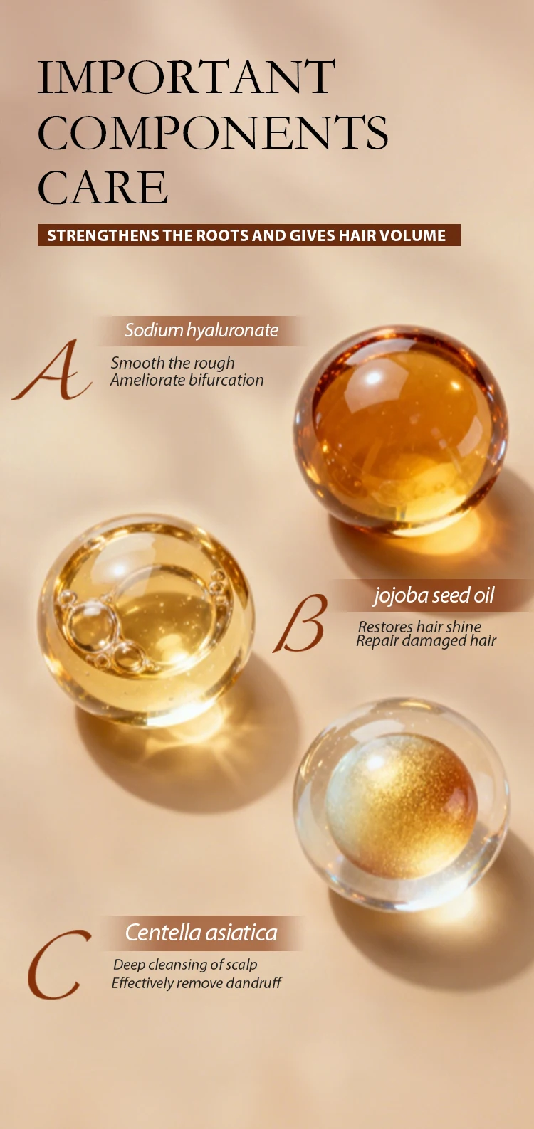 Black Rice Amino Acid Shampoo Hyaluronic Acid Jojoba Oil Centella Asiatica-Thickening Moisturizing for All Hair Types(pic4)