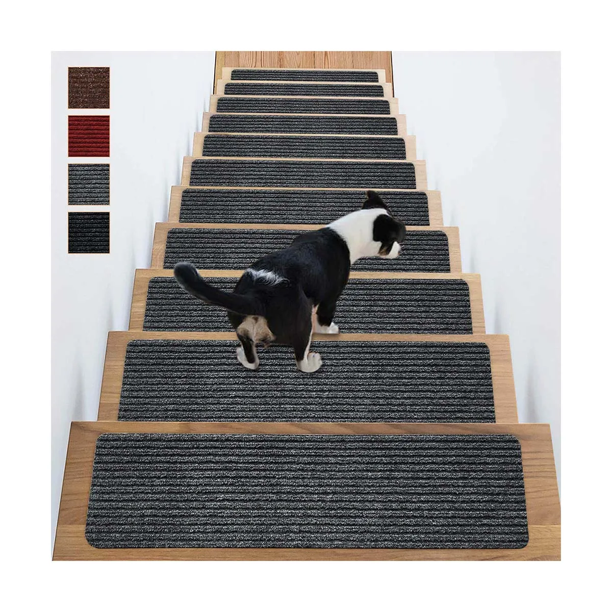 Dog slipping on on sale stairs