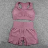bra shorts 2pcs set(b472c3)