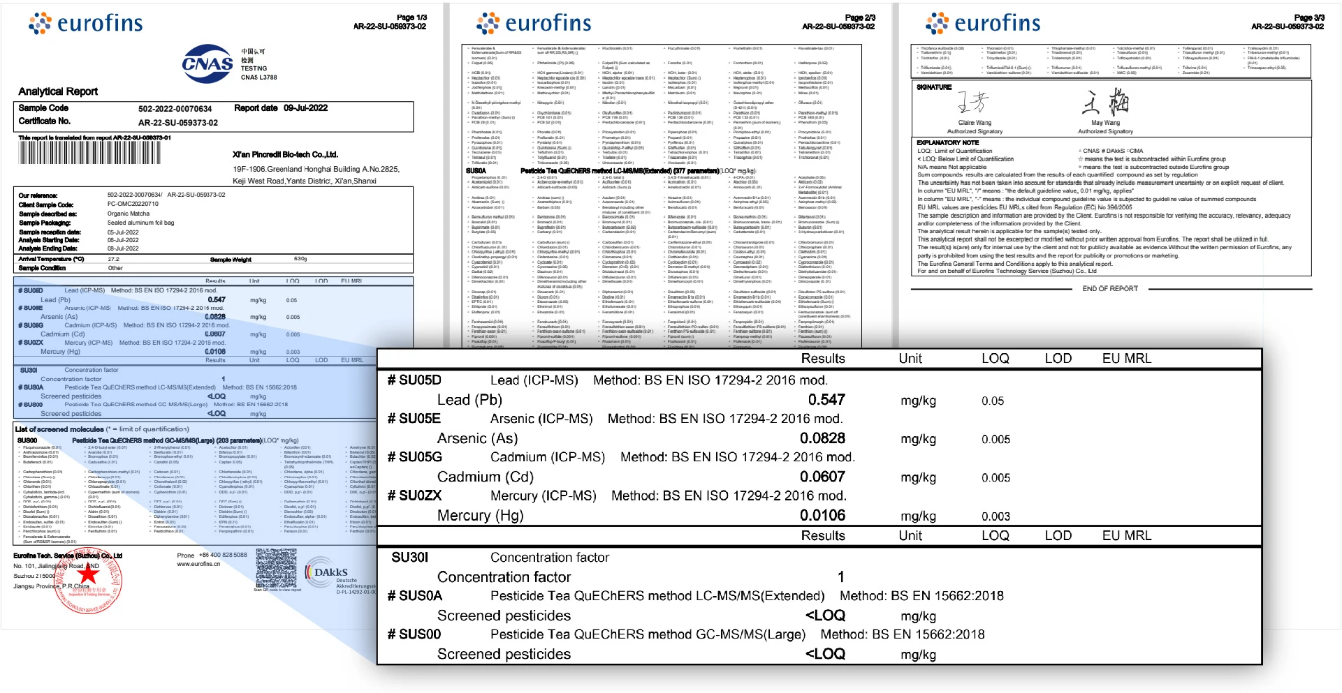 USDA Organic Certified Free Sample 100% Pure Ceremonial Grade Matcha Powder for Tea Drinks