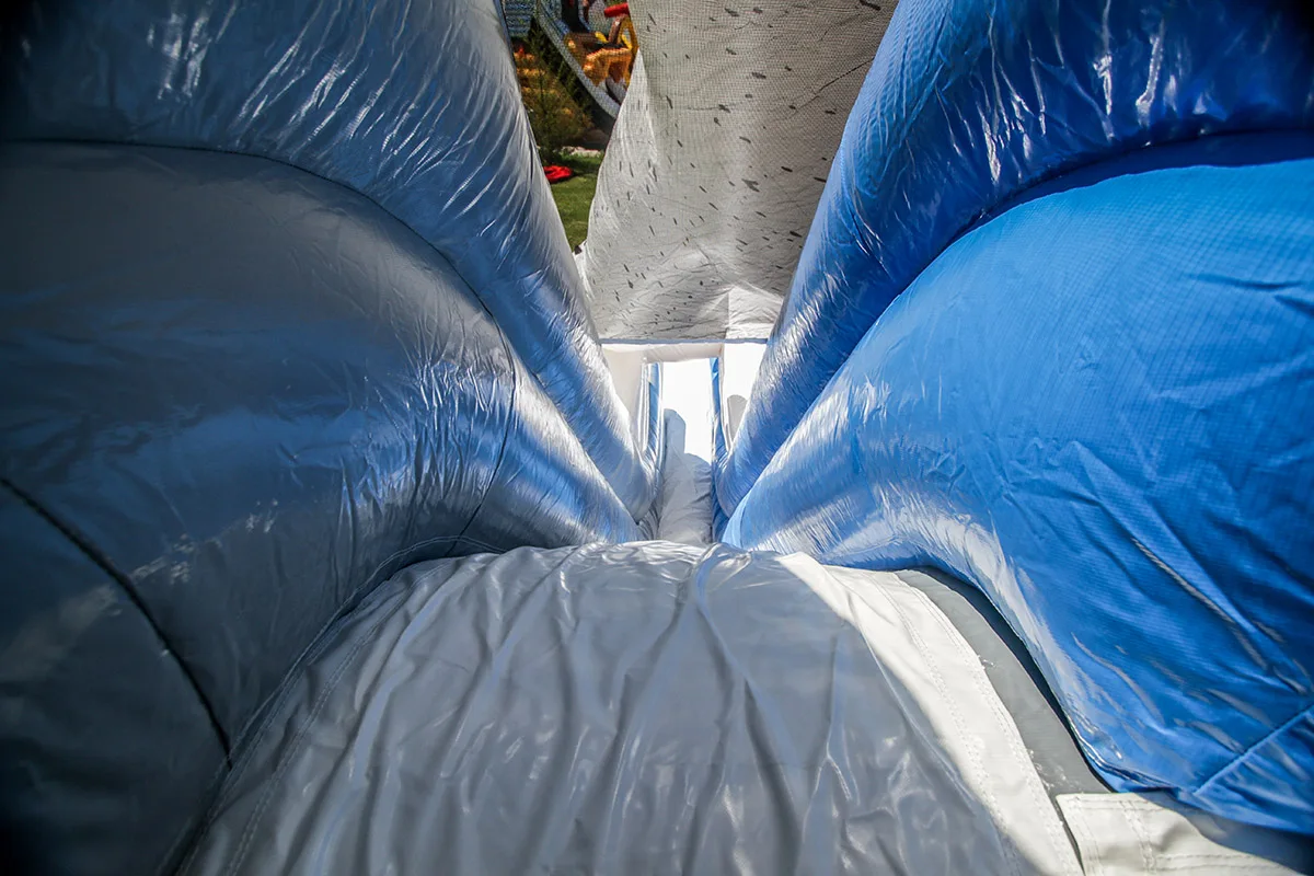 Polar Bear Slide 3.jpg