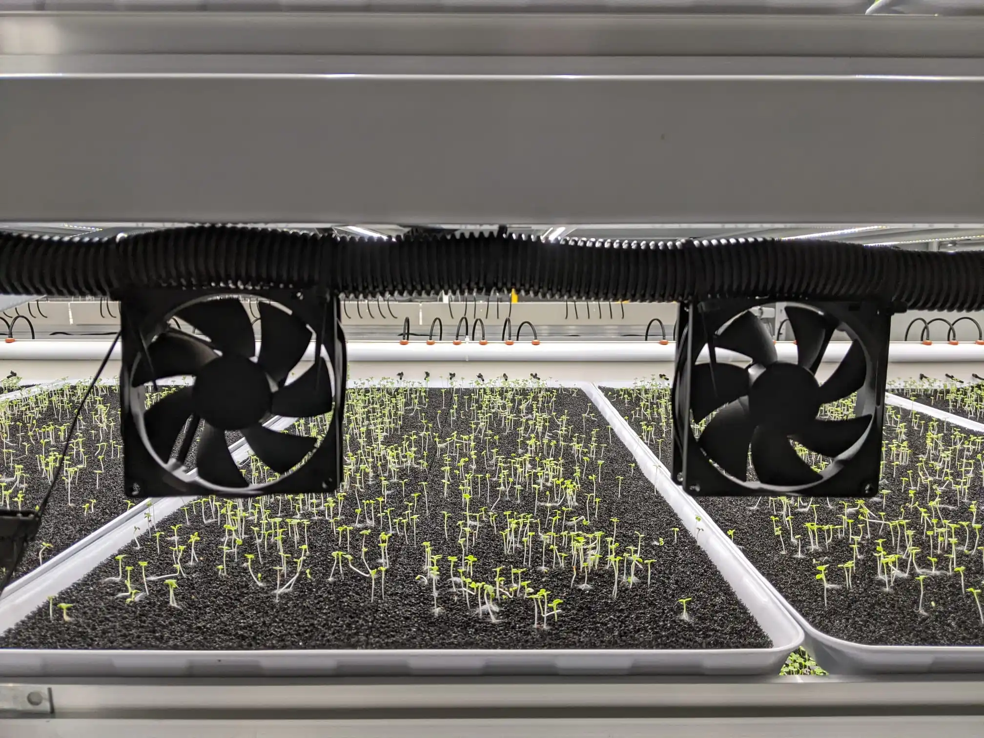 110V 220V DC12V Silent Customization Acceptable RMP Cooling Fan 12025 Cooling Radiator Fan PC Fan 120mm for Farm Use