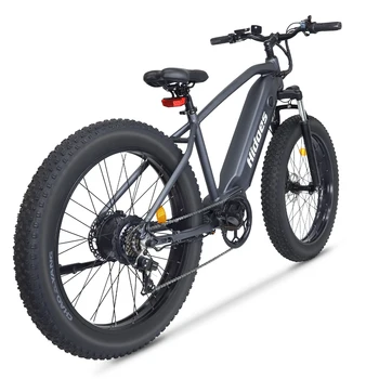 Us Warehouse Ready Stock Hidoes B5 Electric Bike 1200w 26inch Fat Tire ...