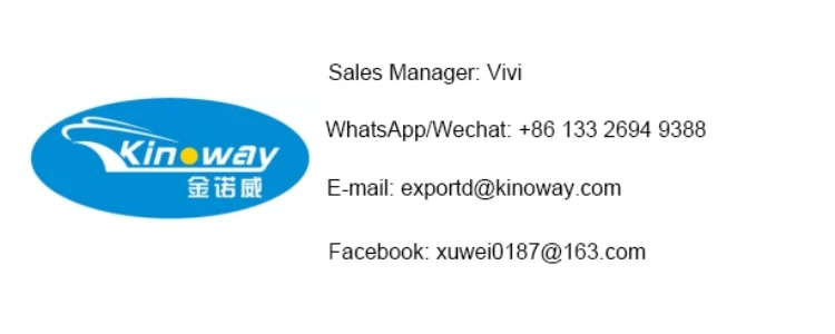 顶级电动自行车radrover 6 plus胖轮胎电动自行车-rad 20英寸复古胖