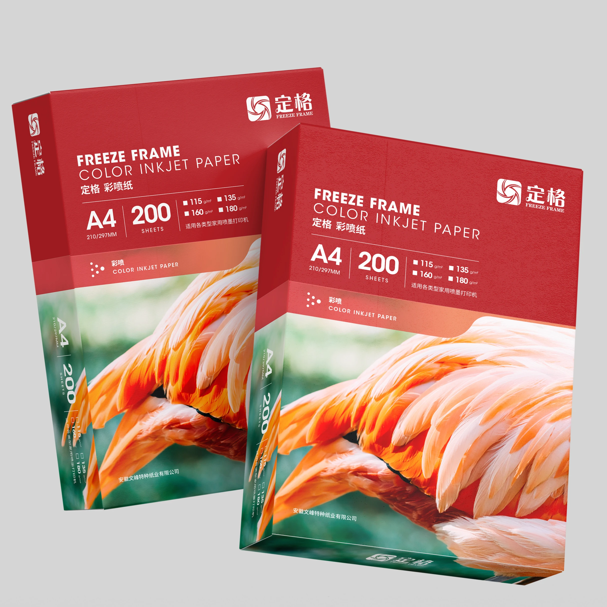 10 Fogli A4 Autoadesivi Lucidi Per Inkjet – 115 Gsm, Bianchi, Per Etichette
