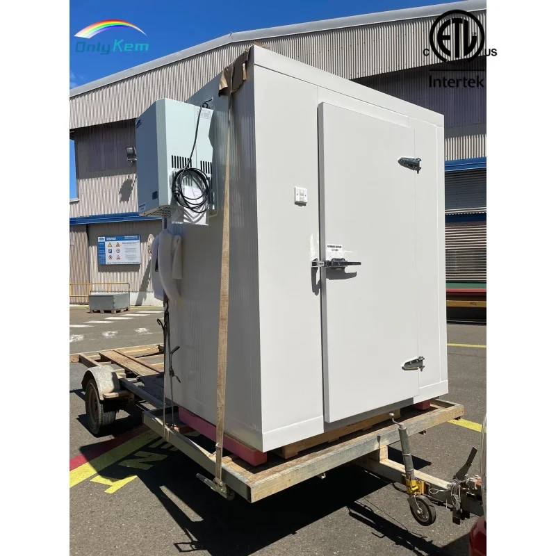 Refrigerated Cold Room Freezer, 220v, R404A - detail 12