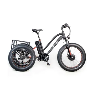 fat tire cargo electric bike / 24inch electric bicycle/ 250-500w e bike rear rack e bicycle with front basket