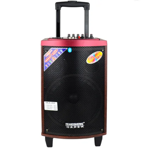 TEMEISHENG 10 Inch Portable USB BT Rechargeable Portable Speaker