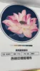 Silk fabric