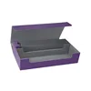 Purple+Grey Interior (Empty)