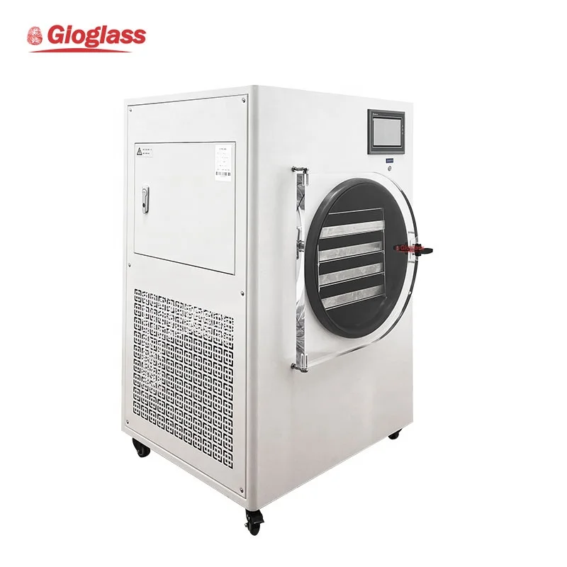 Small Vacuum Freeze Drying Machine Lyophilizer Vegetable Fruit Meat Candy Home Freeze Dryer Machine