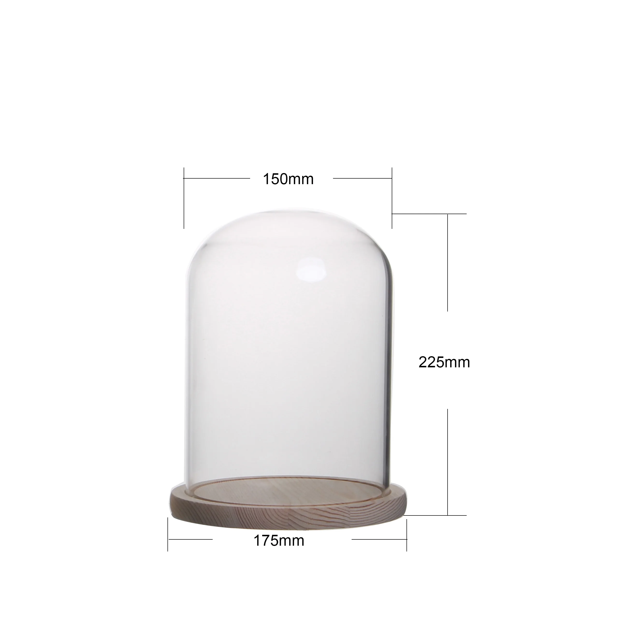 Glass Dome Cloche with Wood Base - Elegant Art Piece
