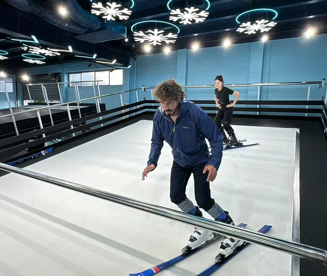 Factory Custom ASN-M-0506 Ski Simulator Machine Indoor Exercise Ski Machine Ski Machine Gym Equipment Fitness