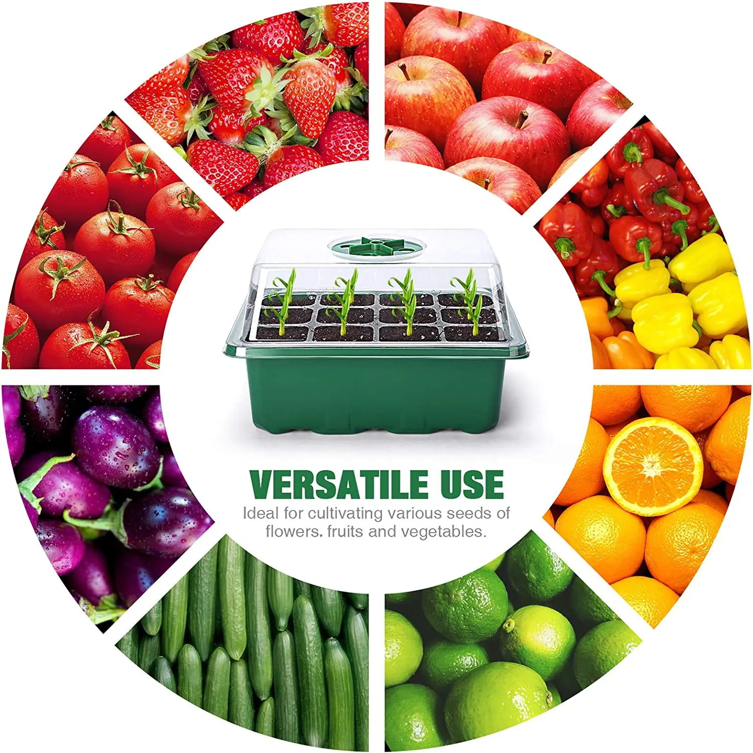 24cell Seed Starter Kit Seedling Propagation Ps Pvc Plant Grow Tray