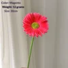 สีม่วงแดง