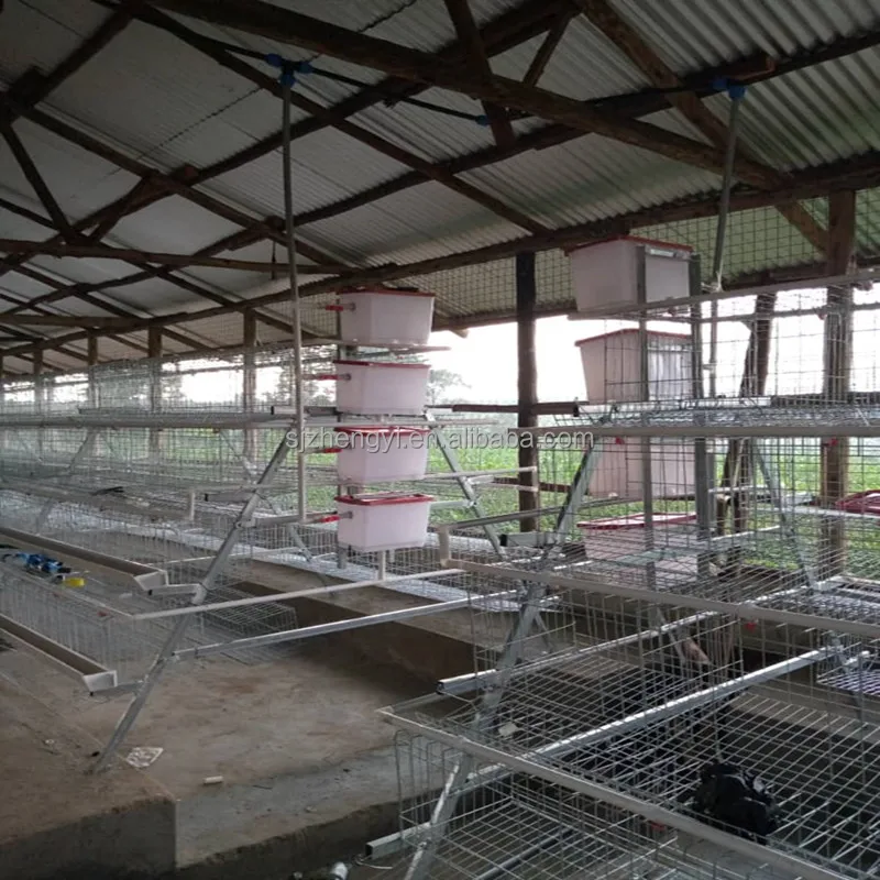 Galvanized Battery Chicken Cages Sold to Distributors in Mozambique