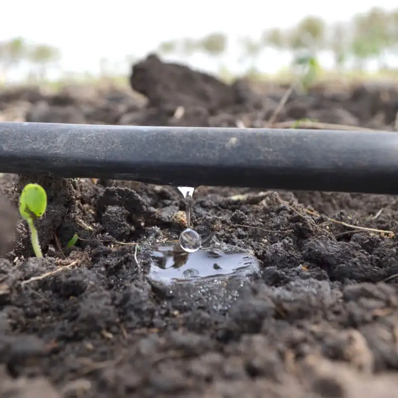 Tuyau d'arrosage goutte à goutte 16mm à 33 cm marron, 400 mètres